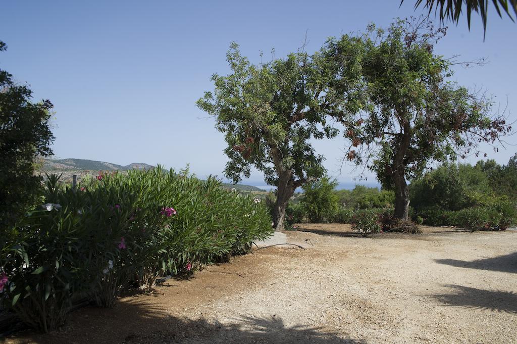 Akamas Edge